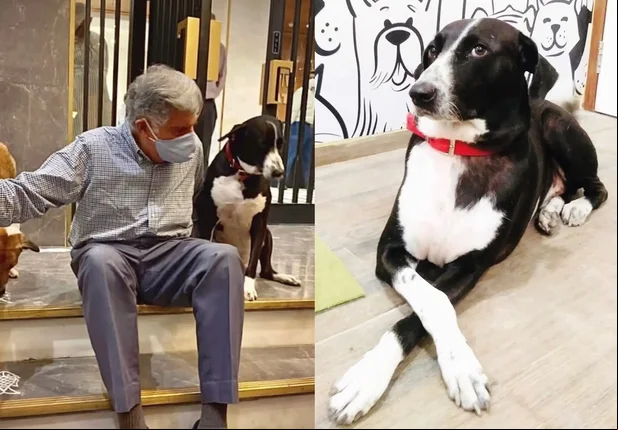 Ratan Tata e seu cachorro de estimação