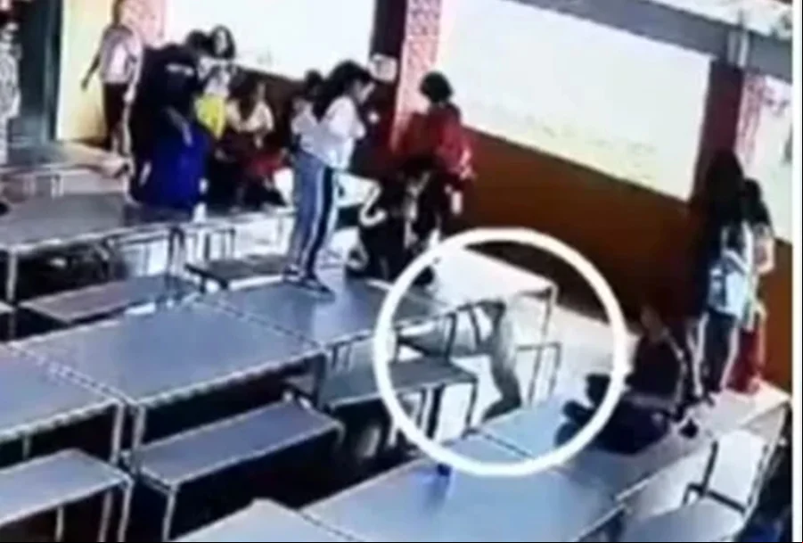 Pitbull invade escola e deixa três crianças feridas em Goiás