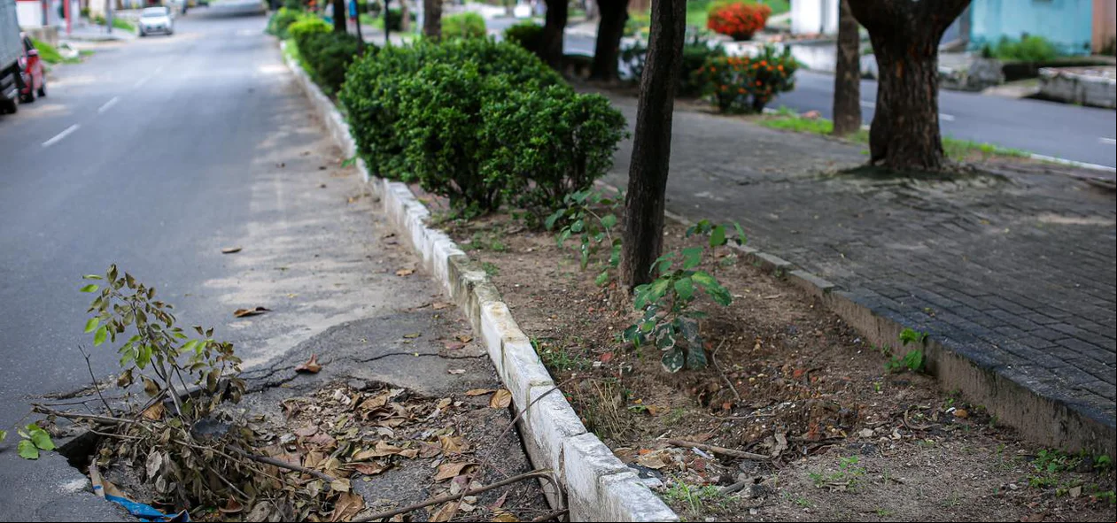 Transeuntes tem locomoção debilitada por conta de buracos na zona Sul de Teresina