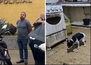 Médico preso por maus-tratos aos animais no RJ