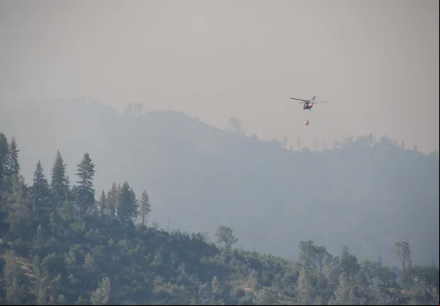 Autoridades combatem incêndio florestal na Califórnia